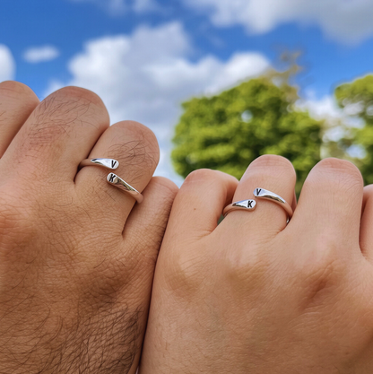 Anillo conexión